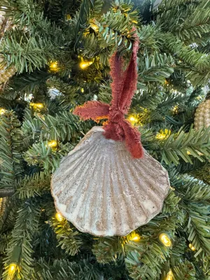Large Shell Ornament 