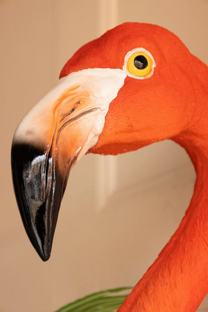 Large Faux Flamingo Head Wall Art