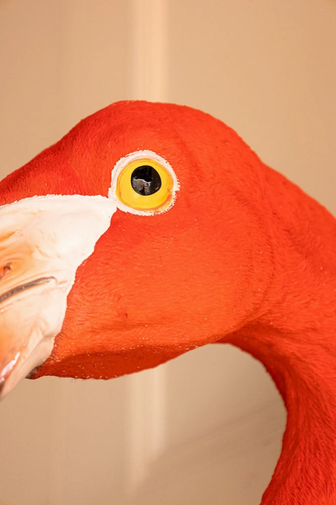 Large Faux Flamingo Head Wall Art