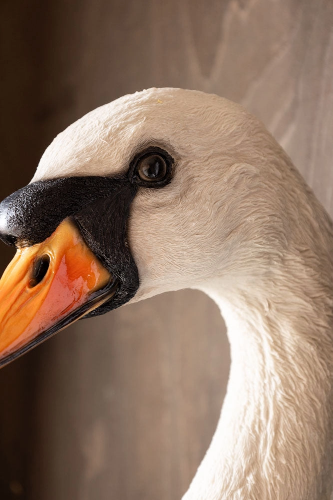 Large White Faux Swan Head Wall Art