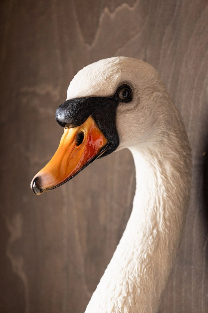 Large White Faux Swan Head Wall Art