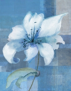 Lily Abstract 