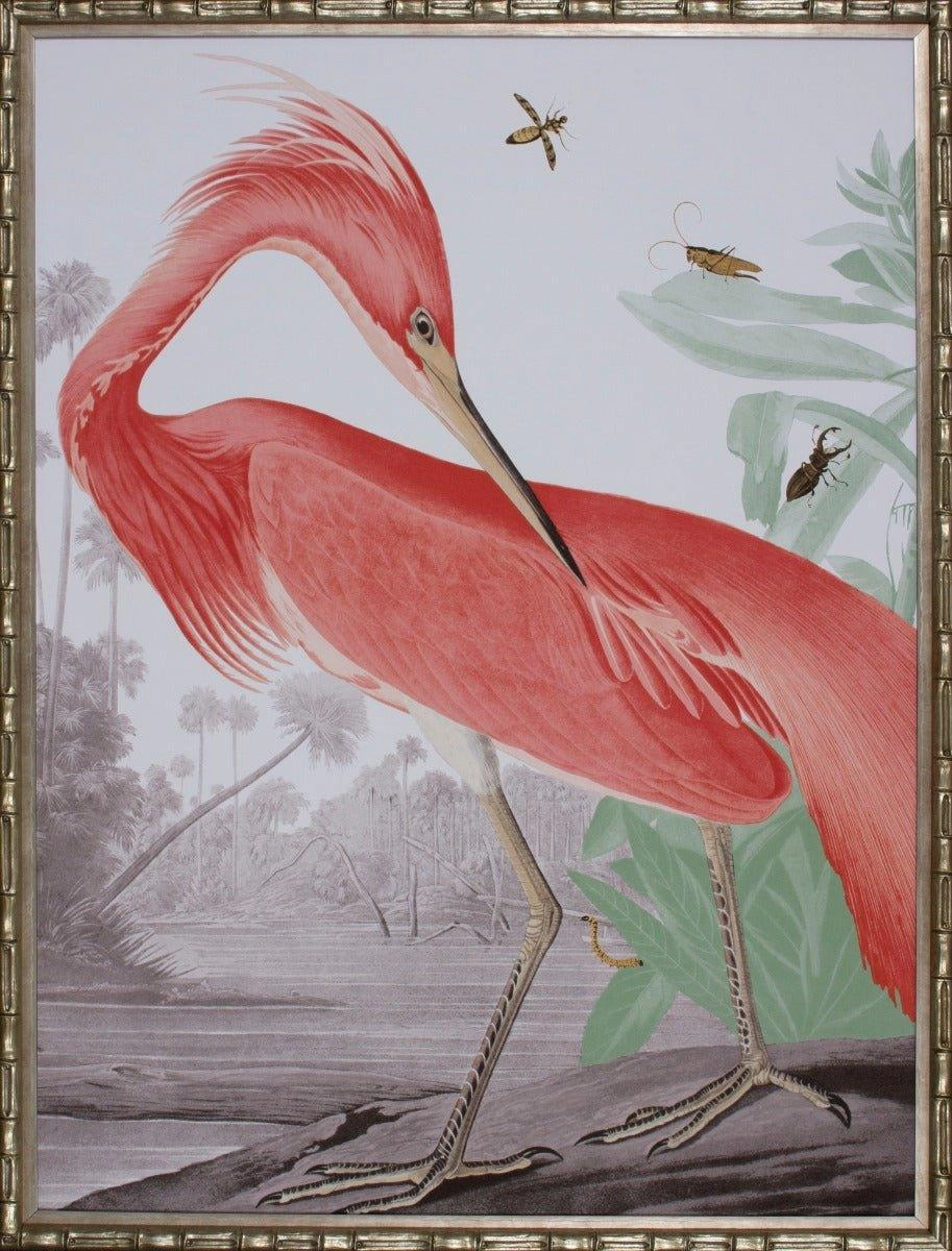 Limited Edition Louisiana Pink Heron Framed Wall Art 