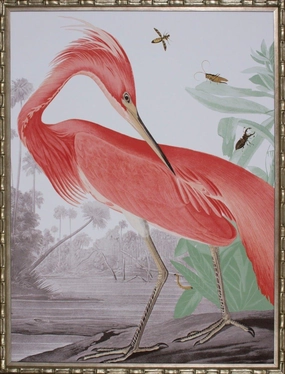 Limited Edition Louisiana Pink Heron Framed Wall Art 