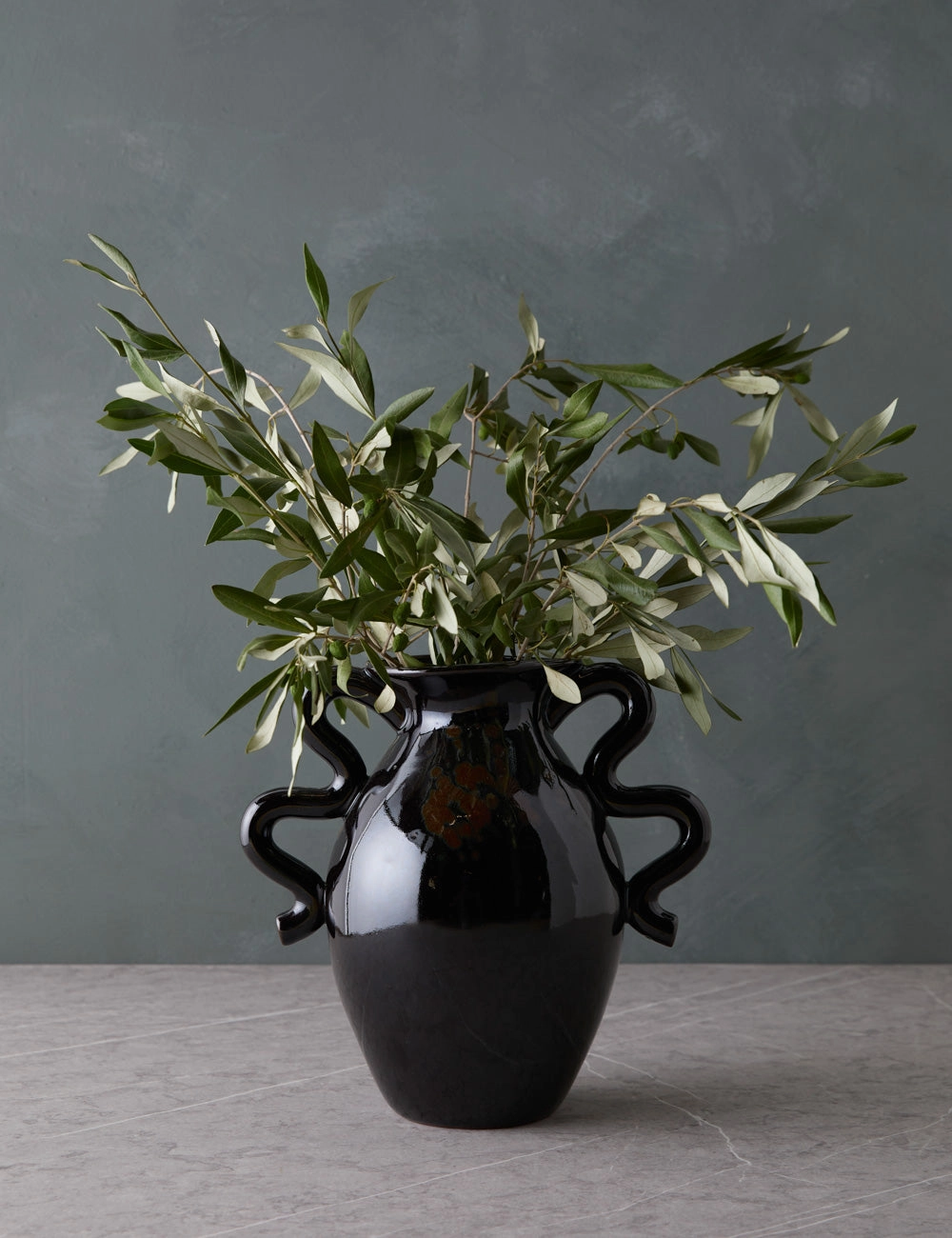 Live Olive Branch Bunch -  -
