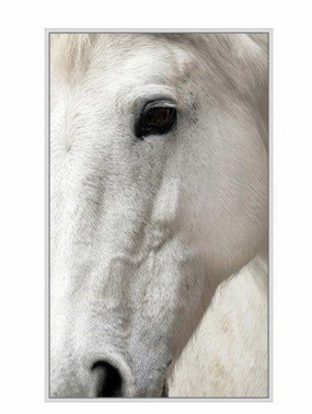 London White Horse Framed Canvas Wall Art 