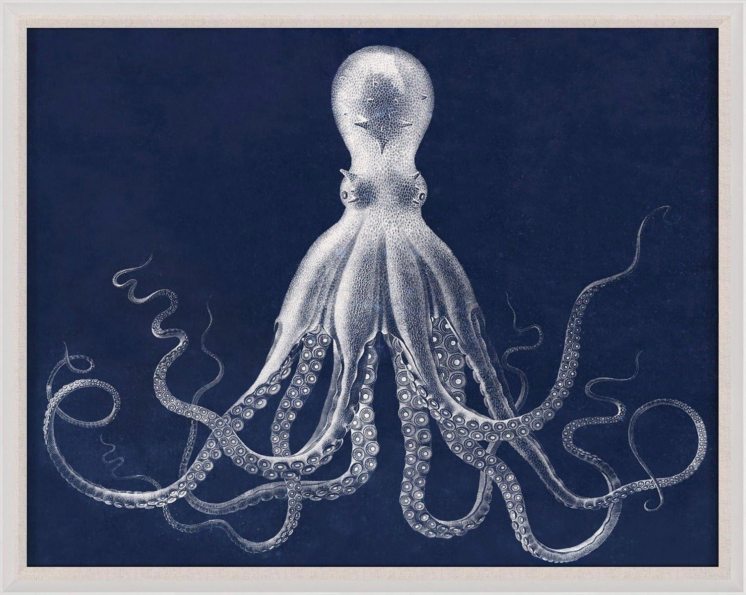 Lord Bodner in Blue Octopus Wall Art 