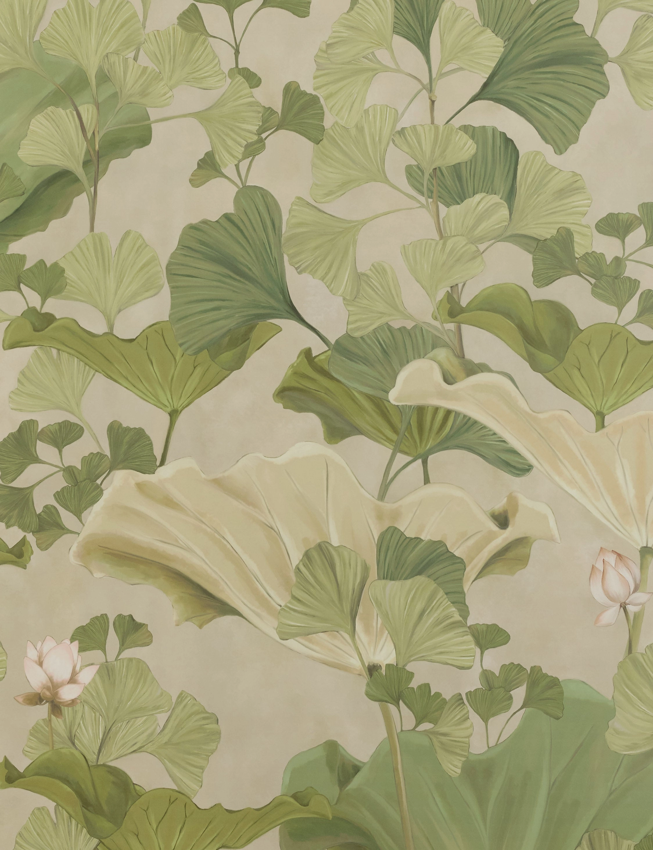 Lotus Wallpaper by Aimee Song