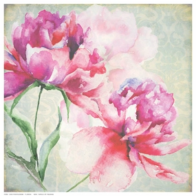 Lovely Peony Blossoms 