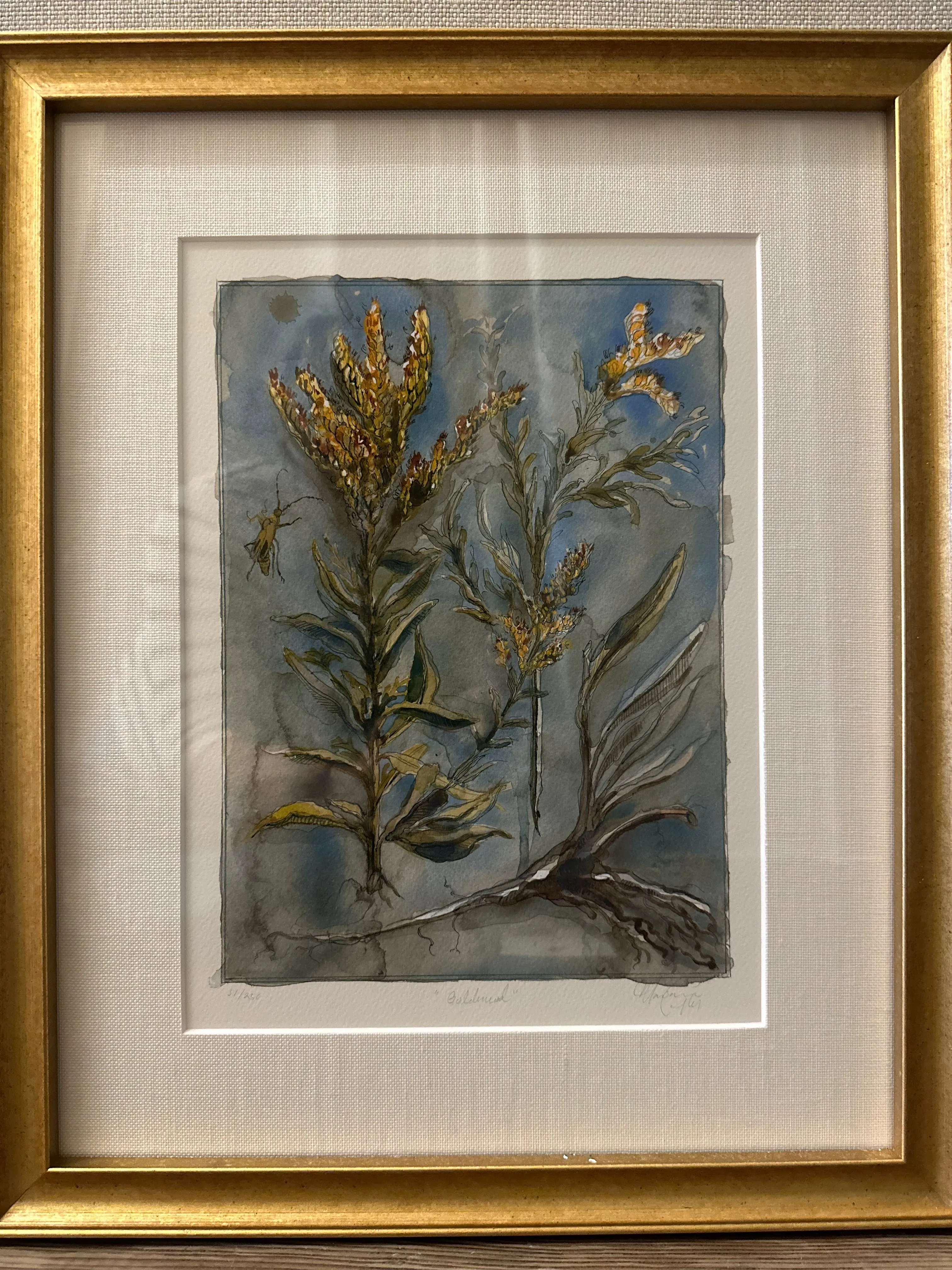 Mariana Langley Original Botanical Art 