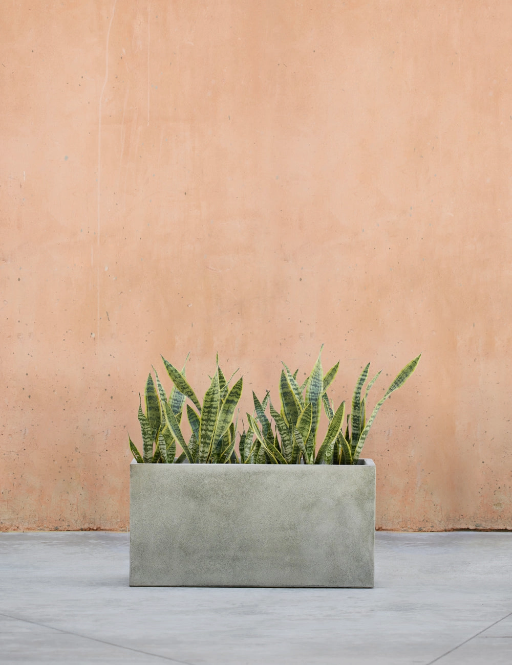 Metro Box Planters by Campania International