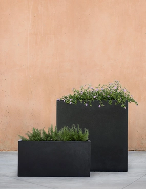 Metro Box Planters by Campania International 