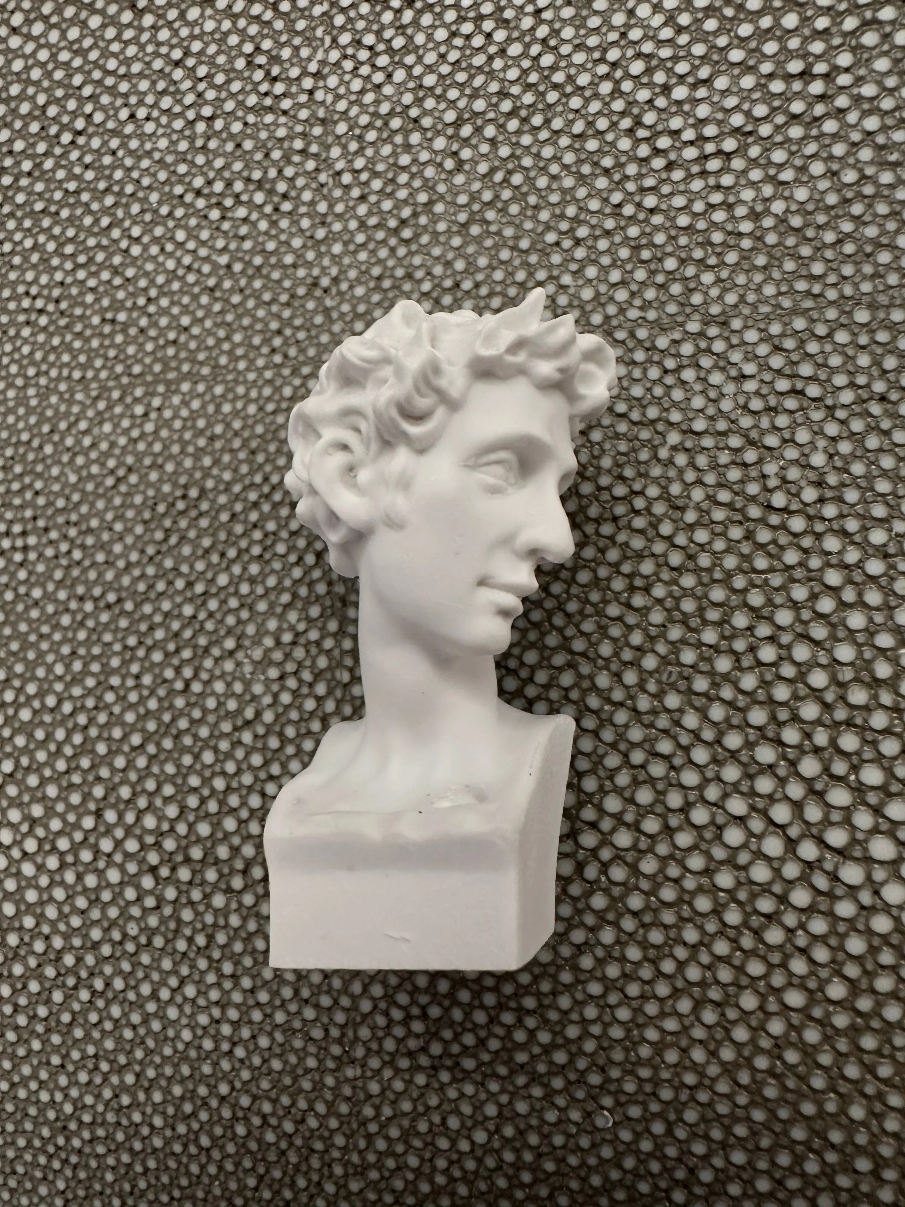Mini Plaster Busts