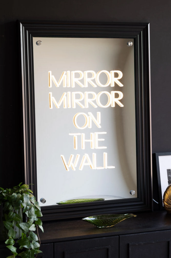Mirror, Mirror...Framed Neon Wall Light - Available in Two Options 