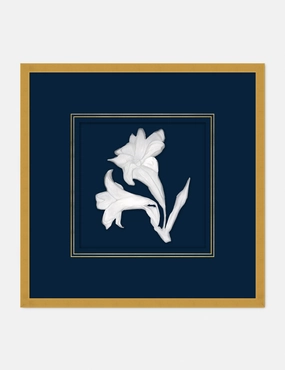 Moon Lilies 2 Wall Art 