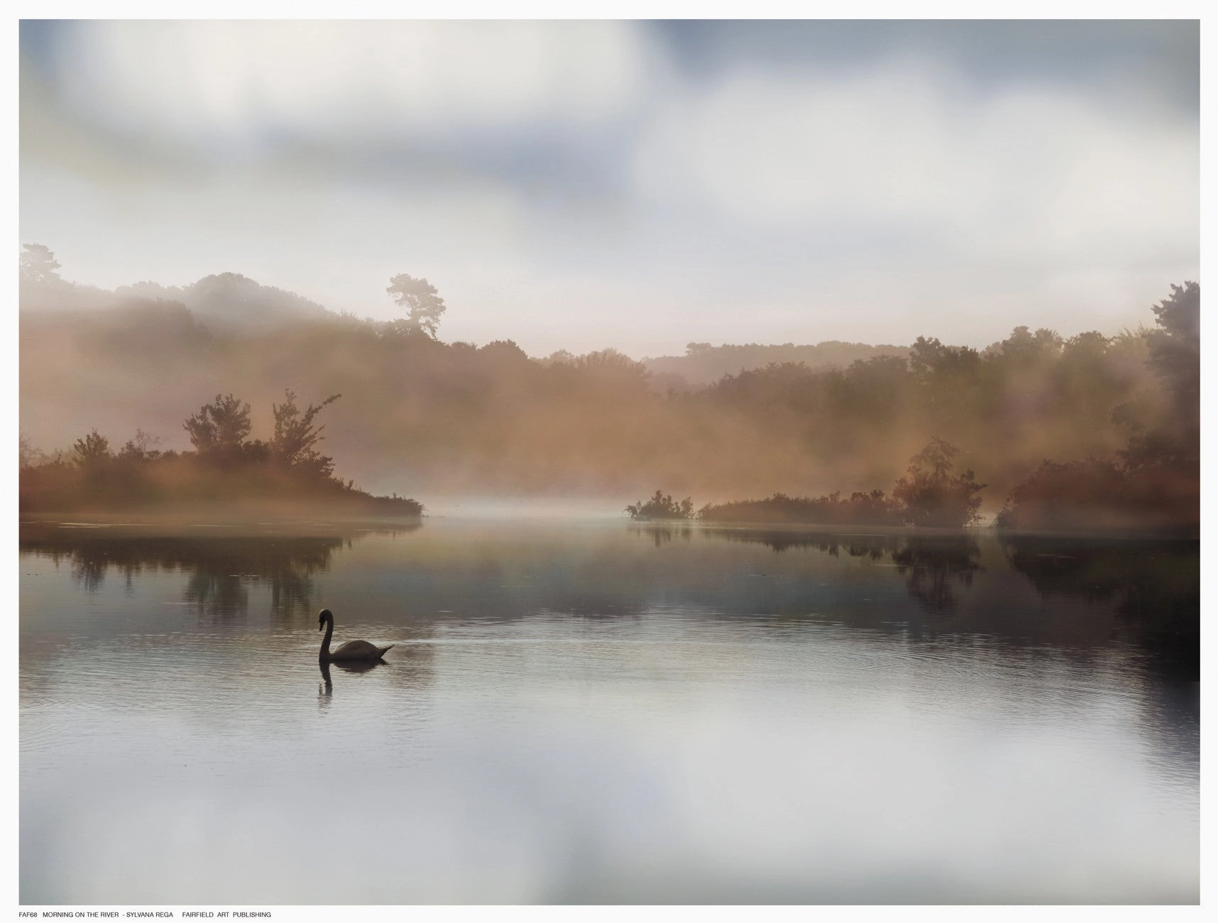 Morning on the River 