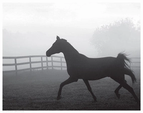 Morning Pasture II 