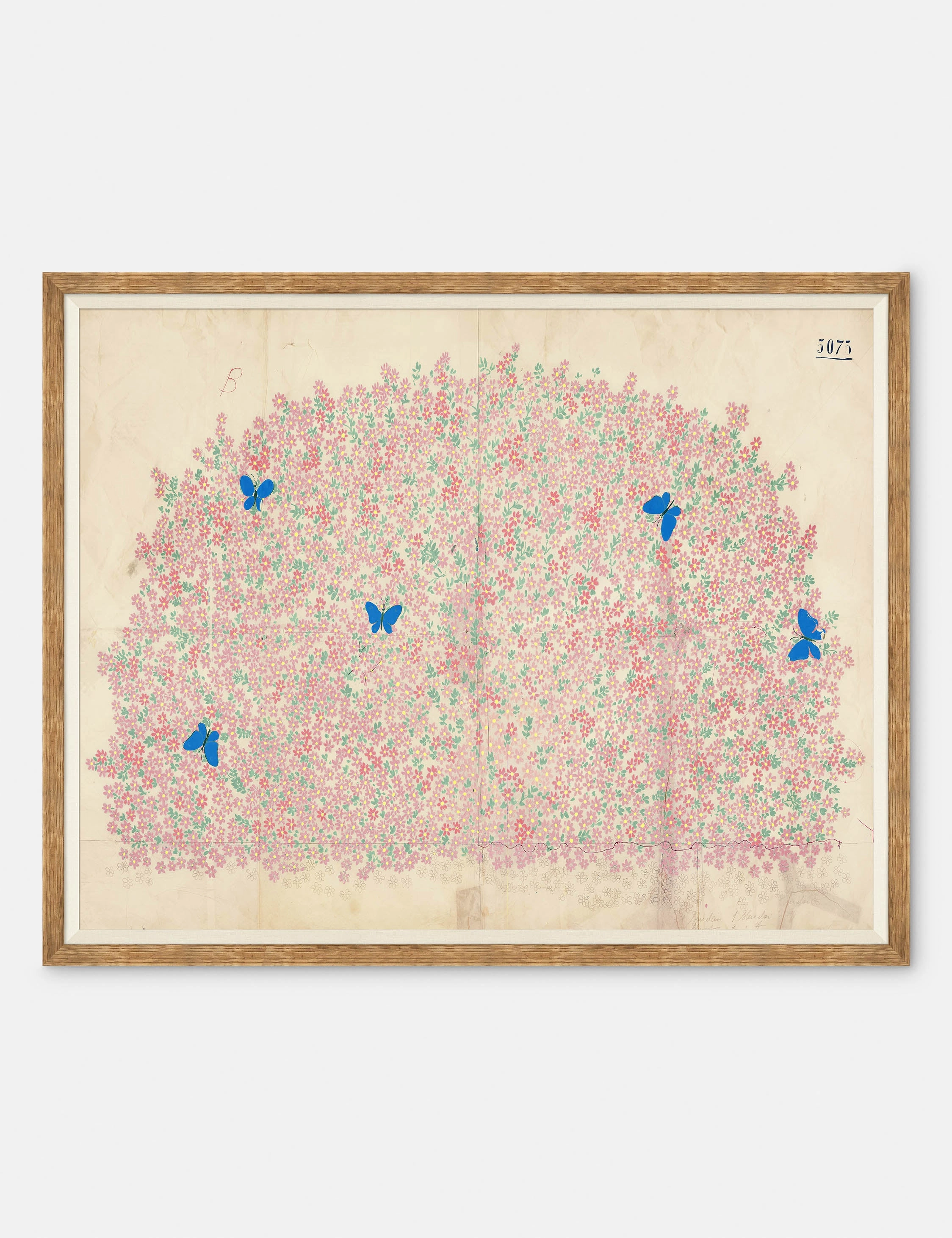Myosotis Print by Paule Marrot