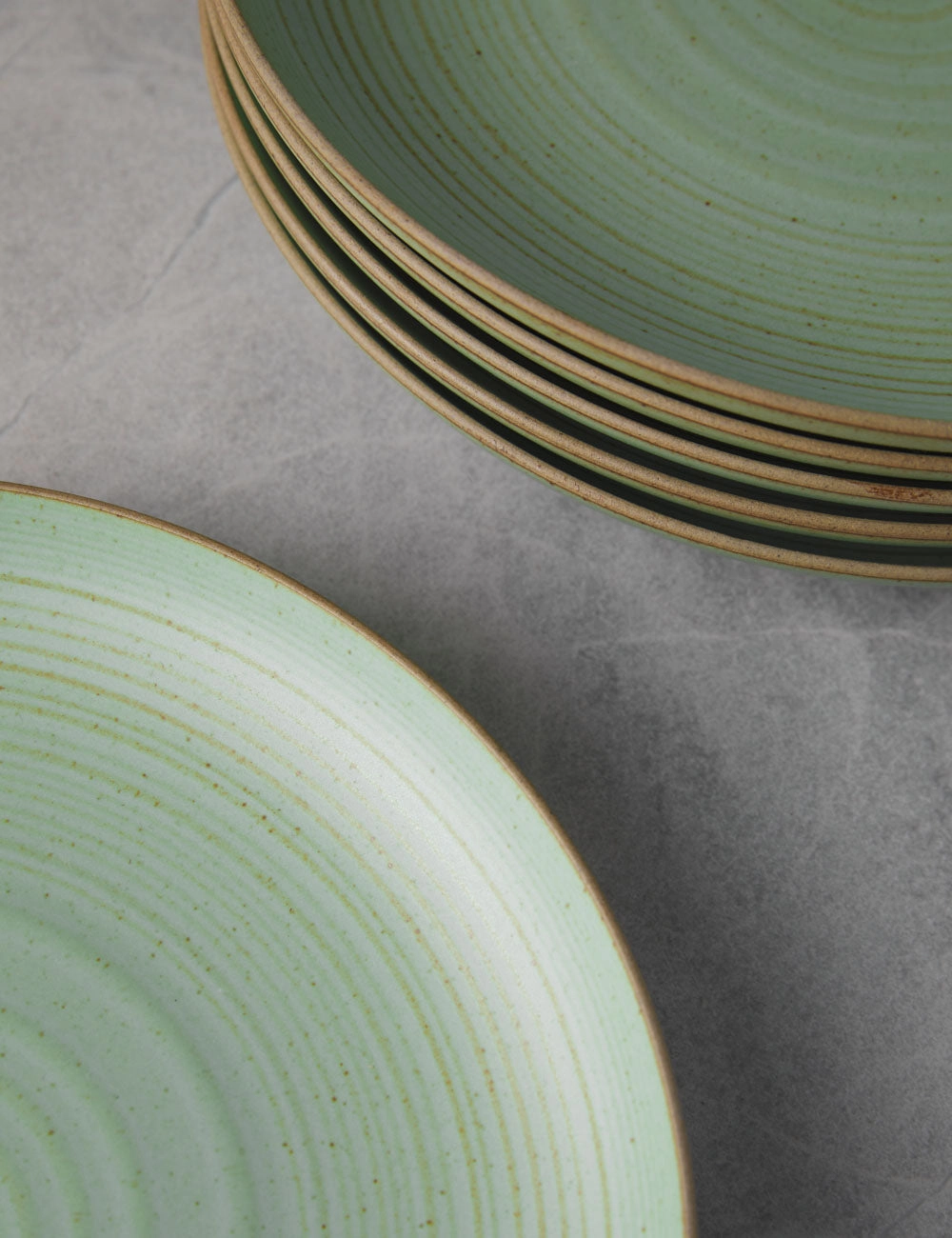 Nature Dinner Plates (Set of 6) by Thomas for Rosenthal