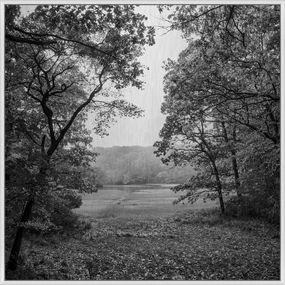 Nature Preserve Framed Wall Art 