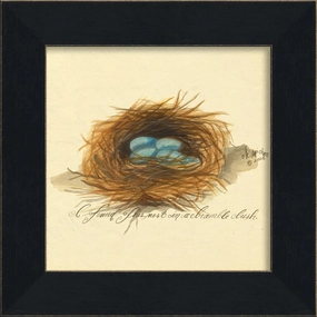 Nest Eggs Art Print 