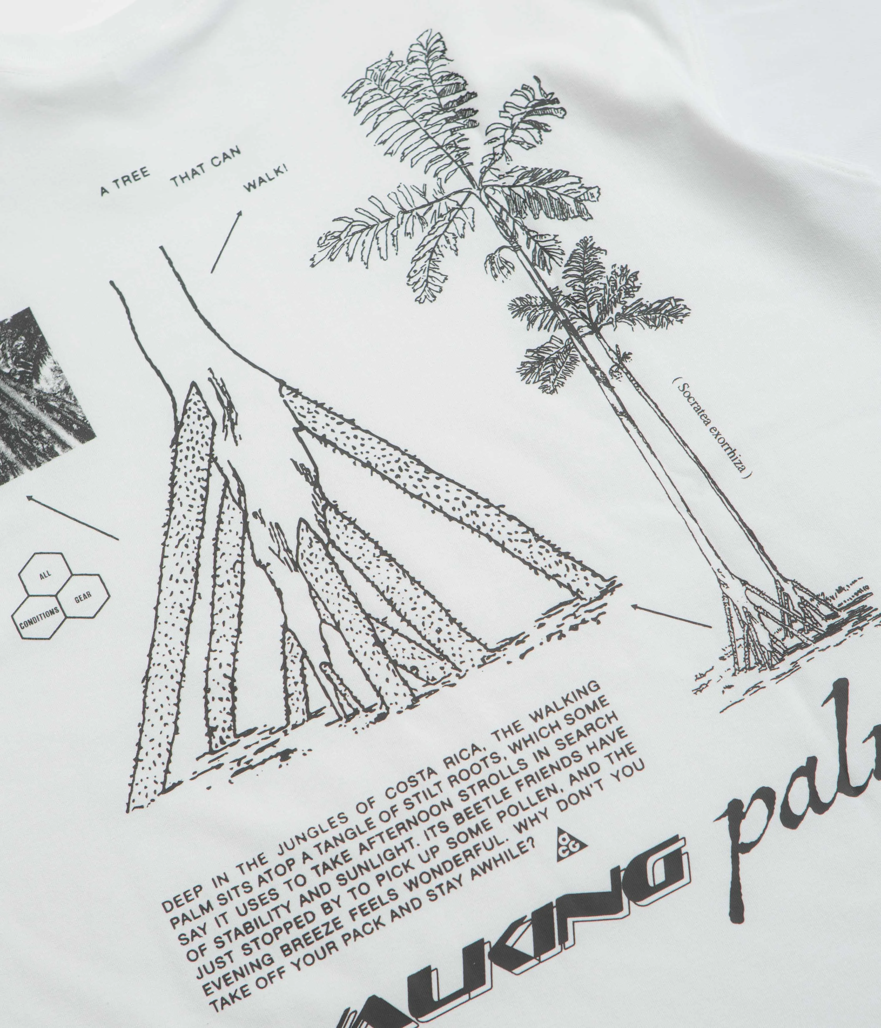 Nike ACG Walk Tree T-Shirt - Summit White Nike ACG Outdoor Clothing