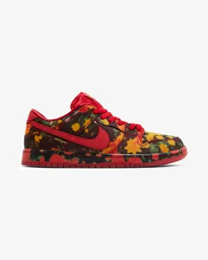 NIKE X THE WIZARD OF OZ SB LOW POPPY FIELD
