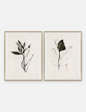 Noir I & II Print by Yuki Osada (Set of 2) 