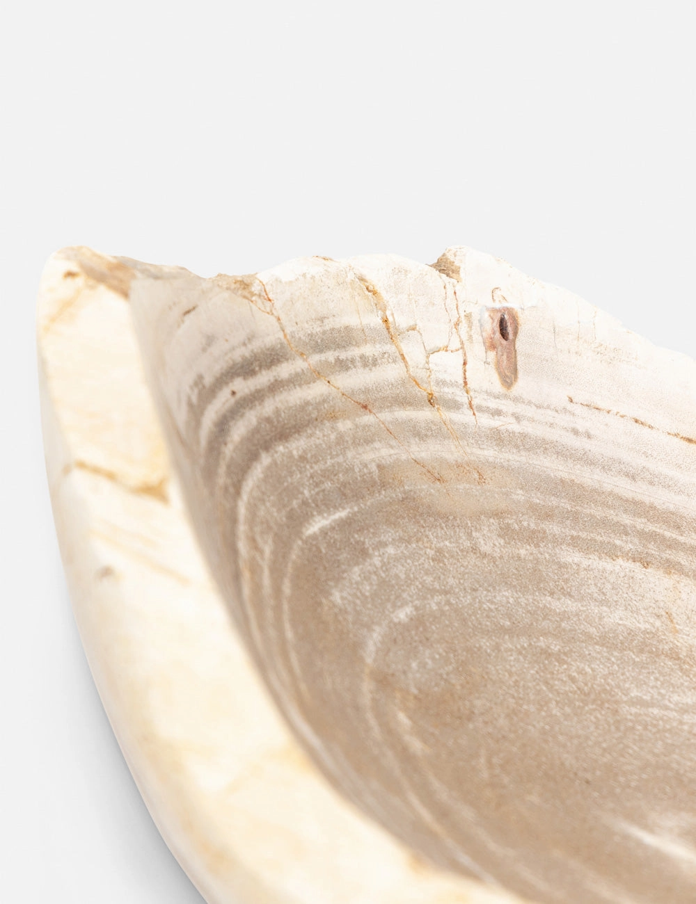 Noki Petrified Wood Bowl -  -