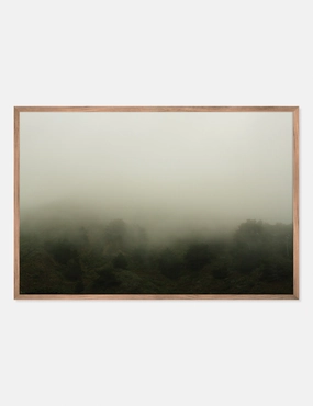 Norcal 10 Photography Print by Flavia Cureteu 