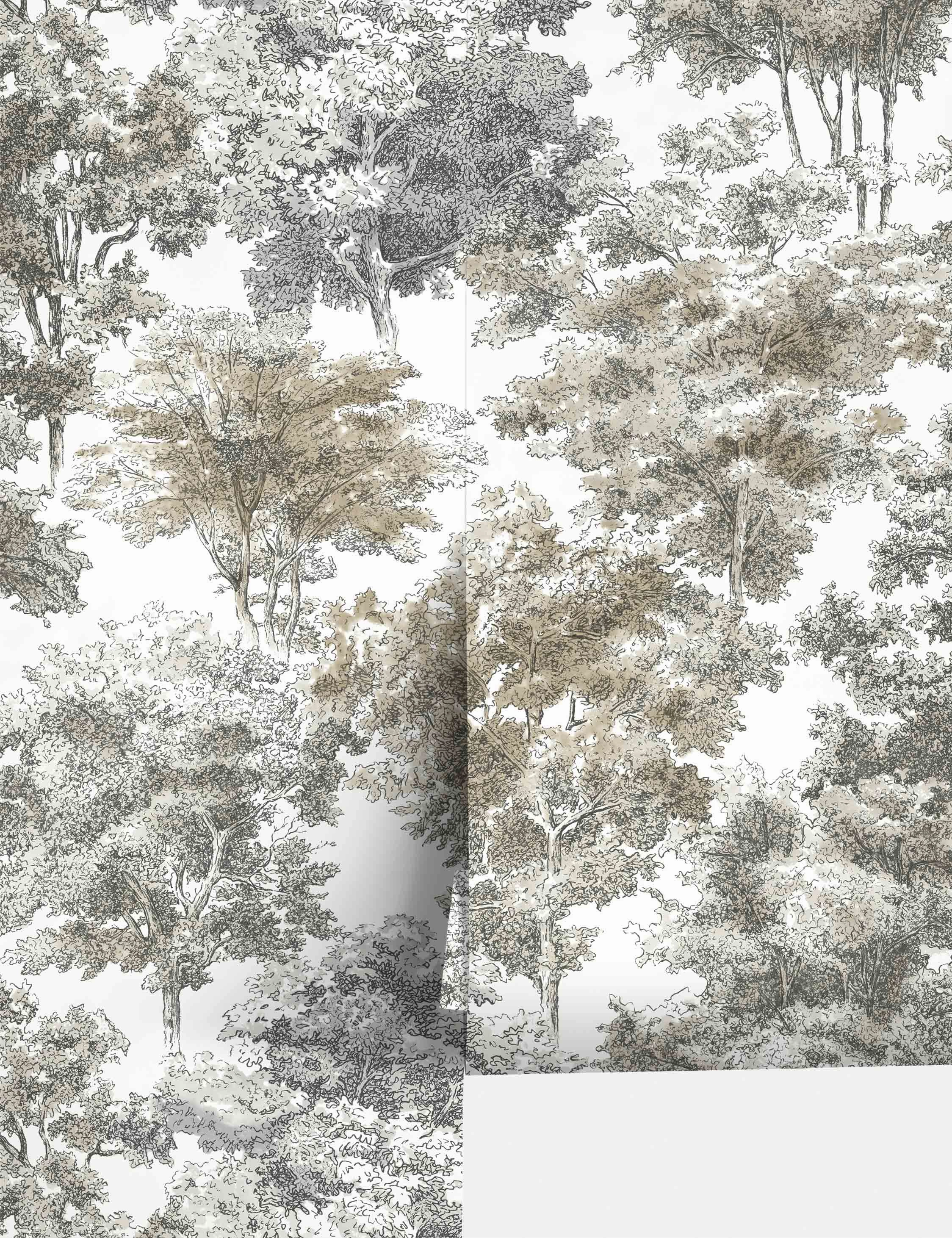 Old World Trees Peel   Stick Wallpaper