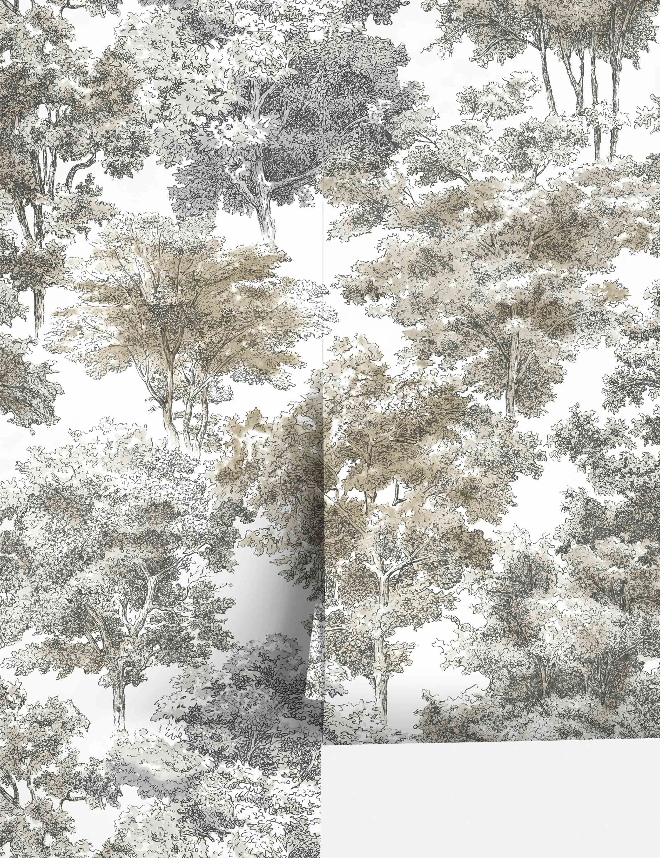 Old World Trees Peel   Stick Wallpaper