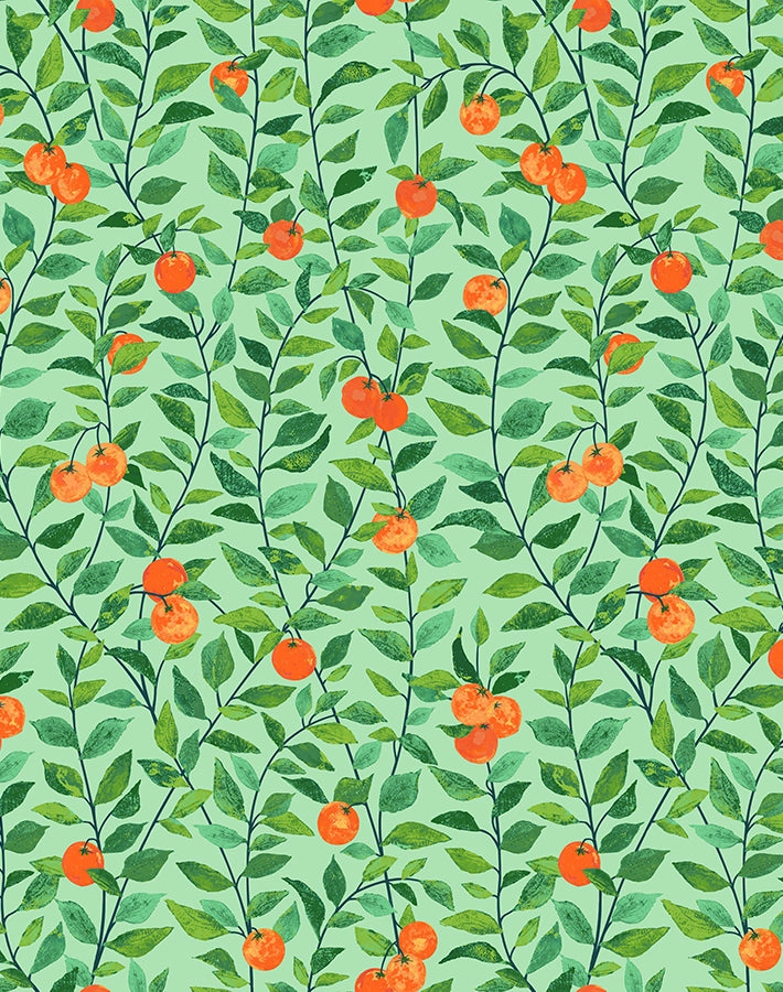 Orange Crush Peel   Stick Wallpaper