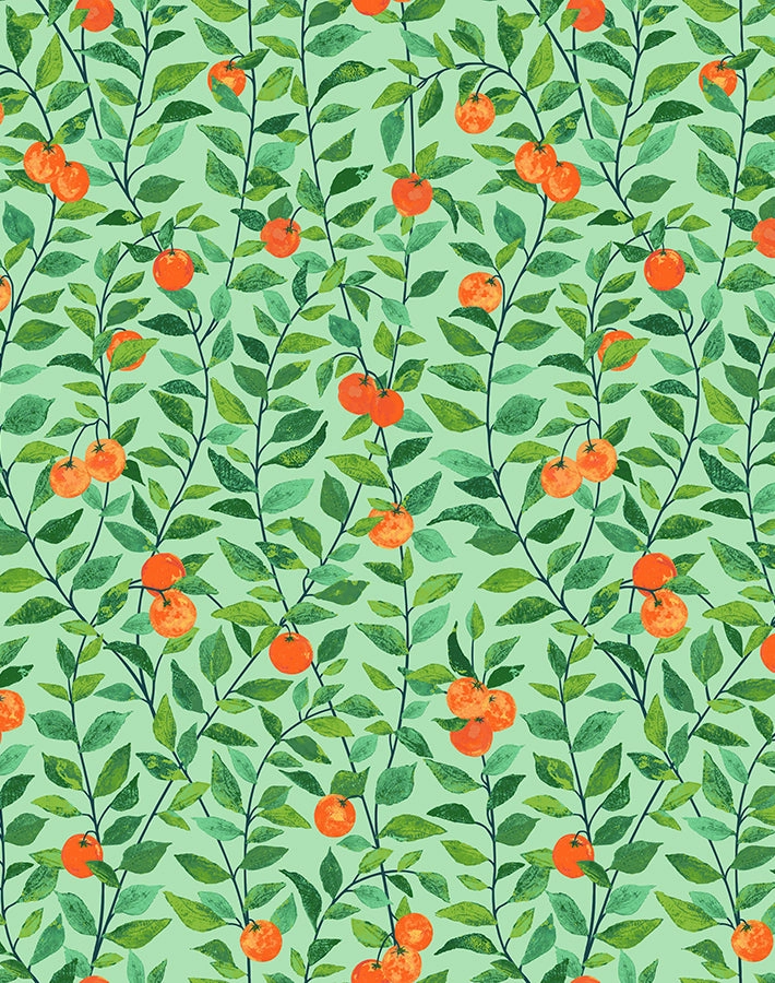 Orange Crush Peel   Stick Wallpaper
