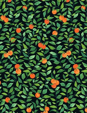 Orange Crush Wallpaper by Nathan Turner 