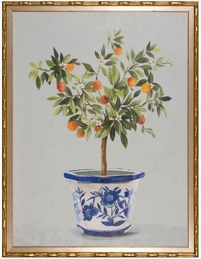 Orange Tree in Blue & White Pot Framed Wall Art 