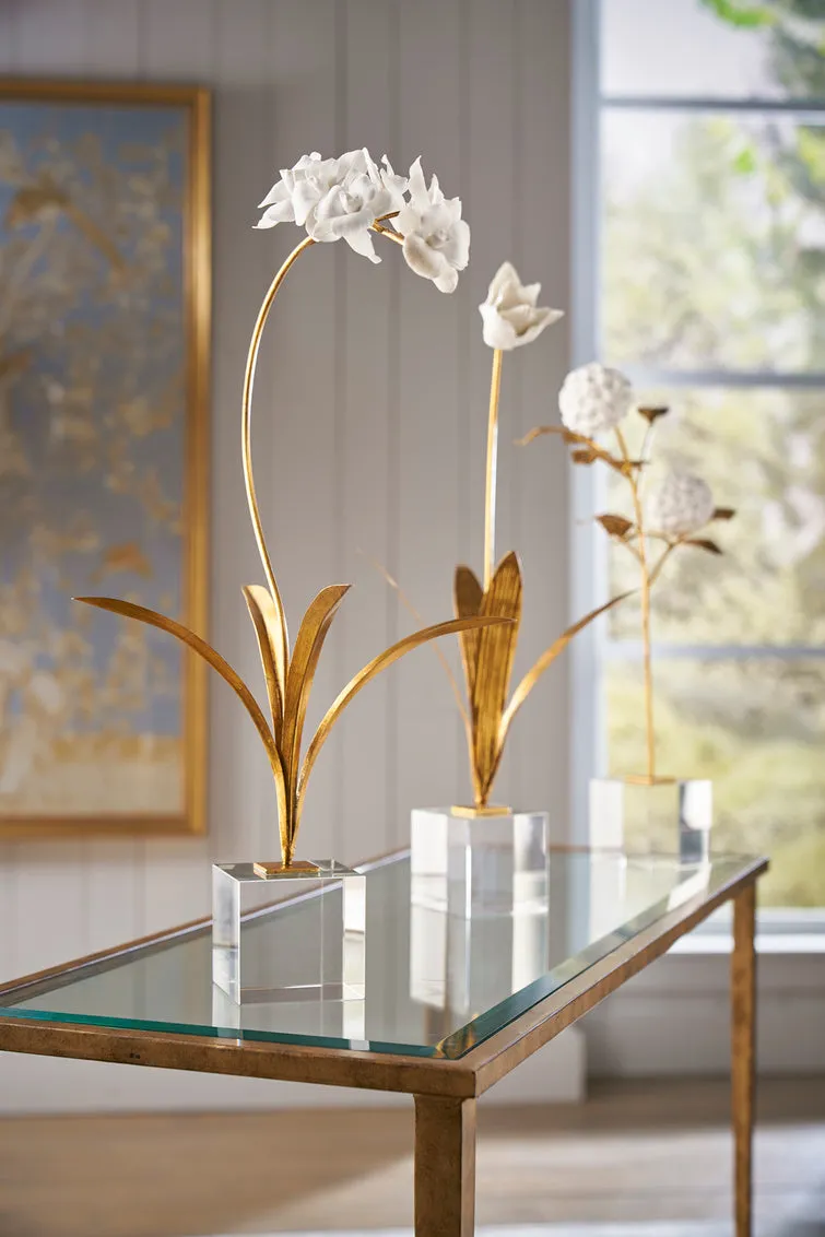 Orchid In Stand