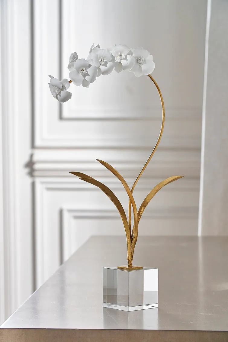 Orchid In Stand