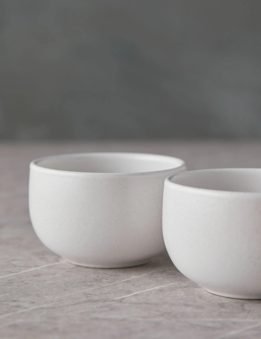 Pacifica Ramekins (Set of 6) by Casafina