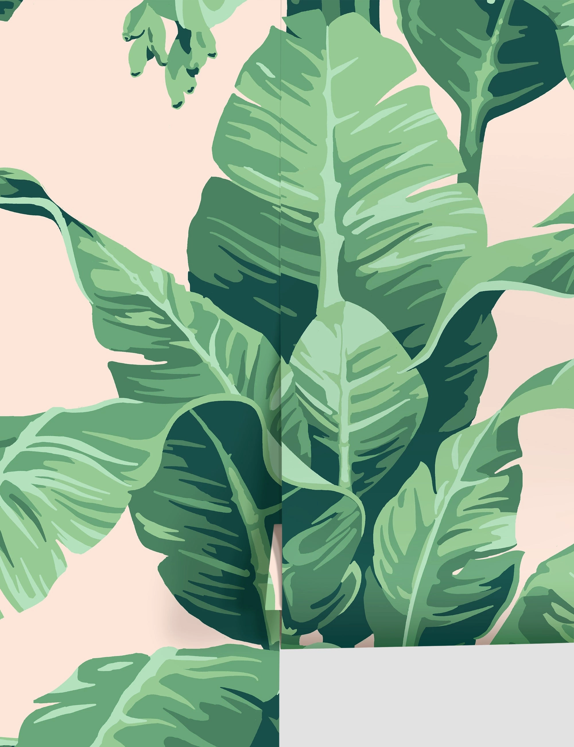 Pacifico Palm Wallpaper by Nathan Turner