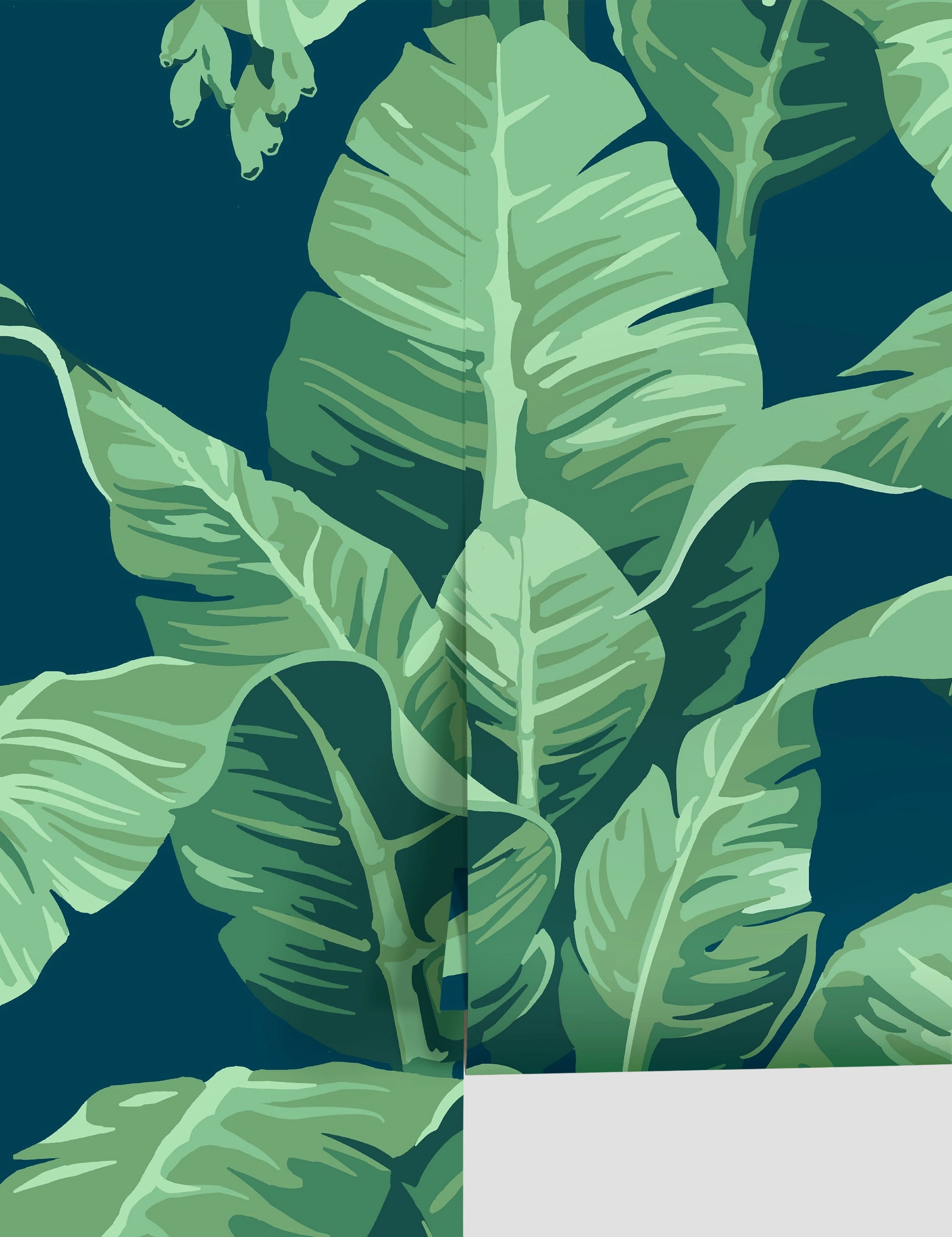 Pacifico Palm Wallpaper by Nathan Turner