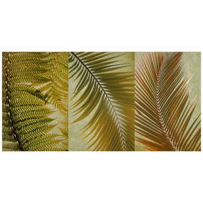 Palm Trio I 