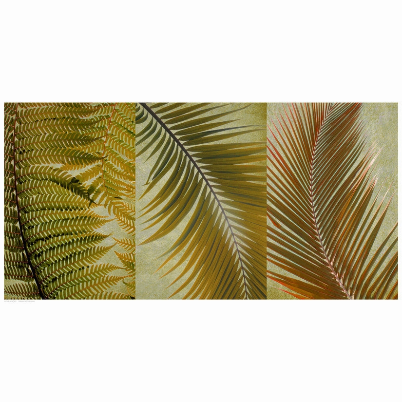 Palm Trio I 