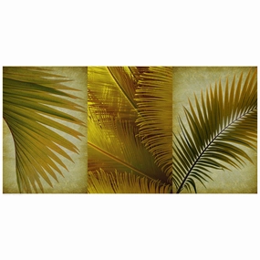 Palm Trio II 