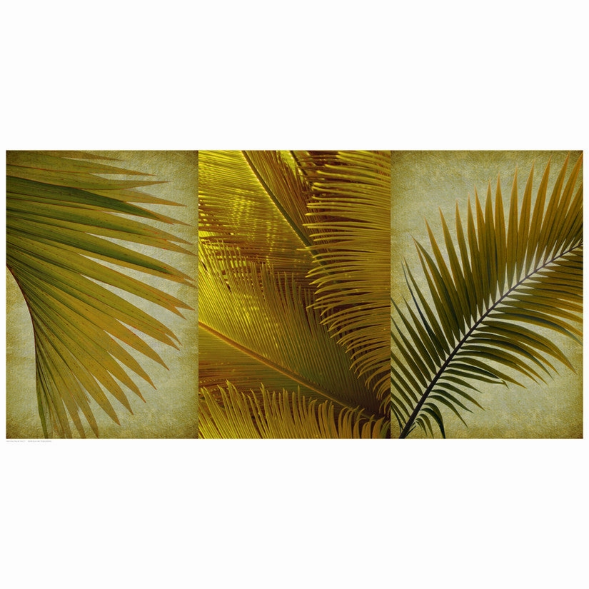 Palm Trio II 
