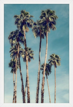 Palms in the Sky Wall Art 