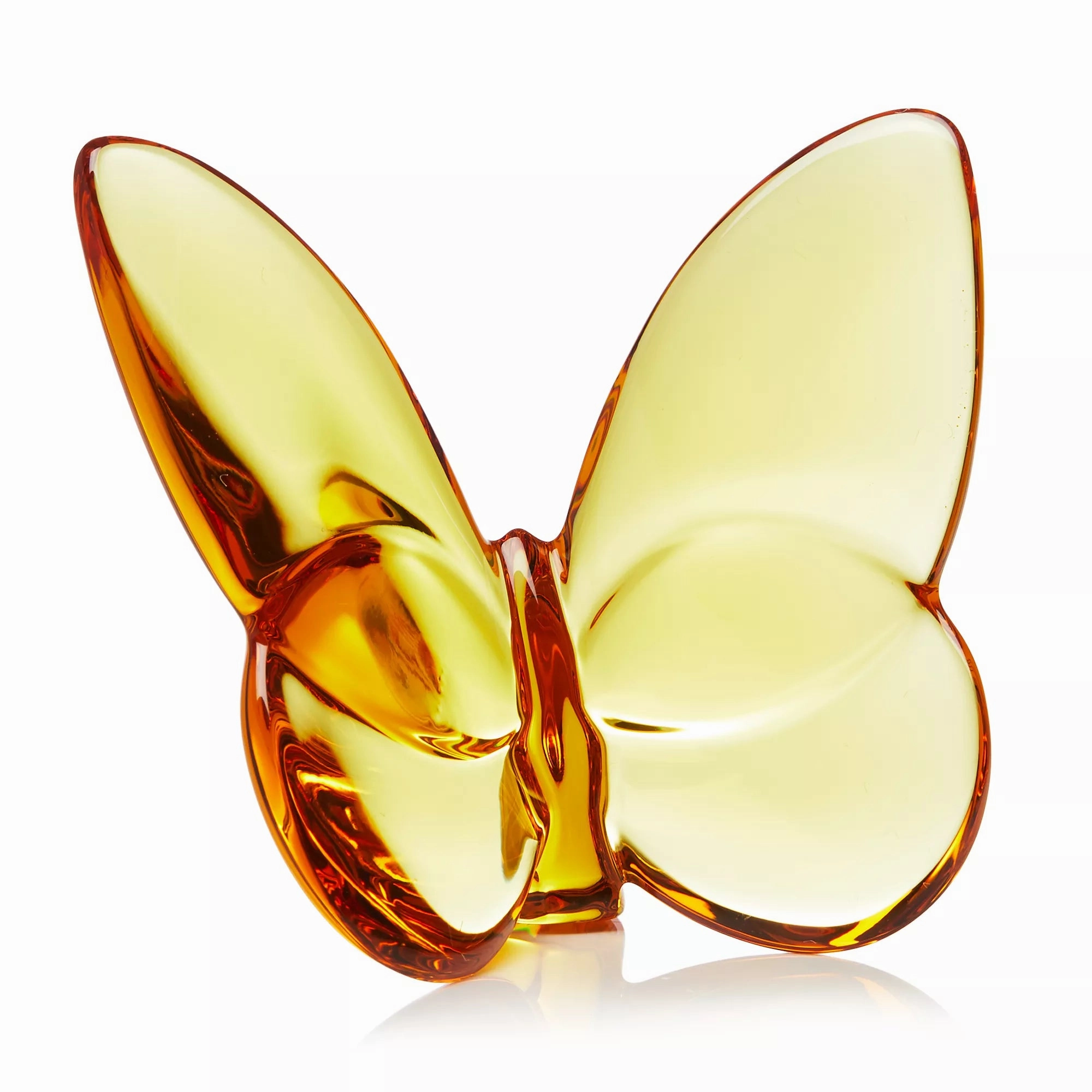 Papillon - Colored Lucky Butterfly