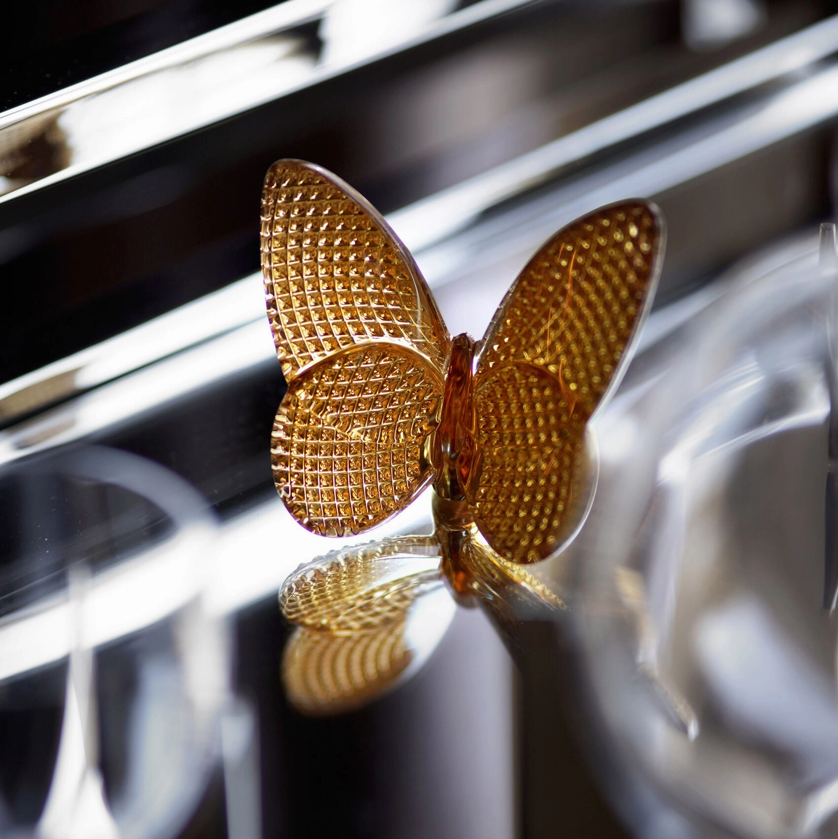 Papillon - Diamond Lucky Butterfly