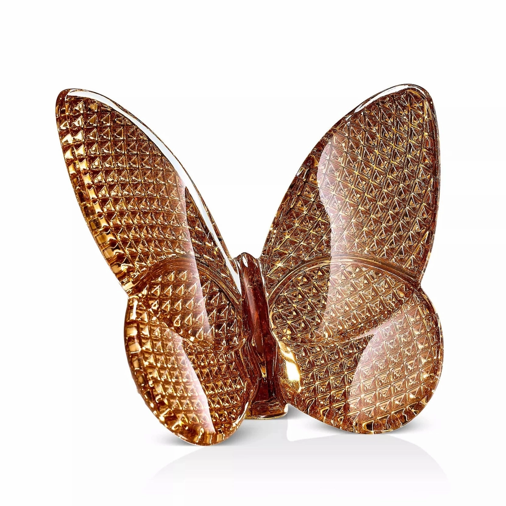Papillon - Diamond Lucky Butterfly 
