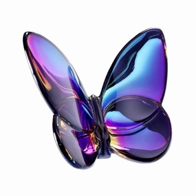 Papillon - Litmus Lucky Butterfly 